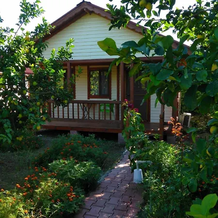 Elif's Lemon Park And Bungalows 홀리데이파크 무글라