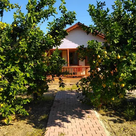 홀리데이파크 Elif's Lemon Park And Bungalows *