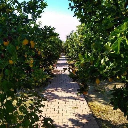 Elif's Lemon Park And Bungalows 홀리데이파크 무글라
