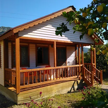 假日公园 Elif's Lemon Park And Bungalows 穆拉